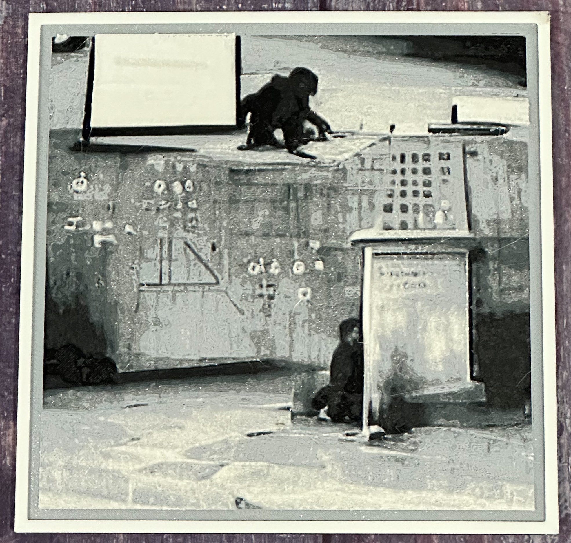 chimpanzees teaching math